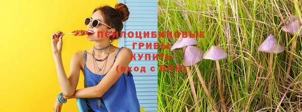 прущий лед Липки
