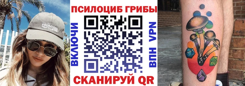 Купить где  Анива  Псилоцибиновые грибы мицелий 